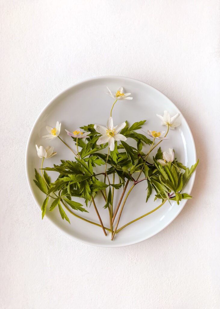Flors blanques amb tiges sobre un plat blanc