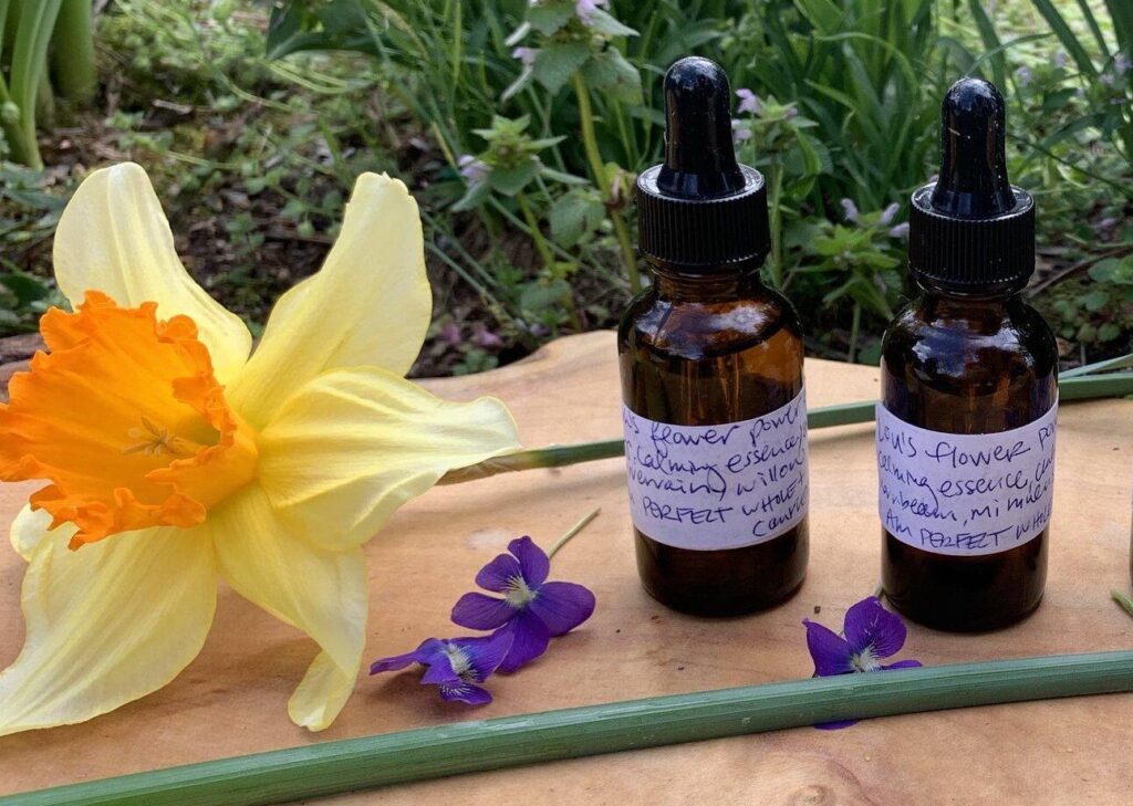 Flascons de Flors de Bach amb flors naturals de colors al fons.